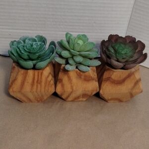 Set Of 3 Artificial Succulent In Geo-Wood Planter